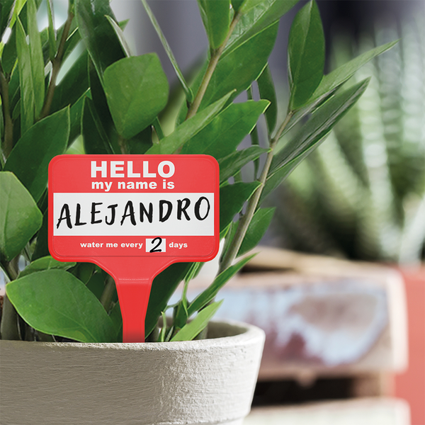 Plant Name Badges Pack of 12