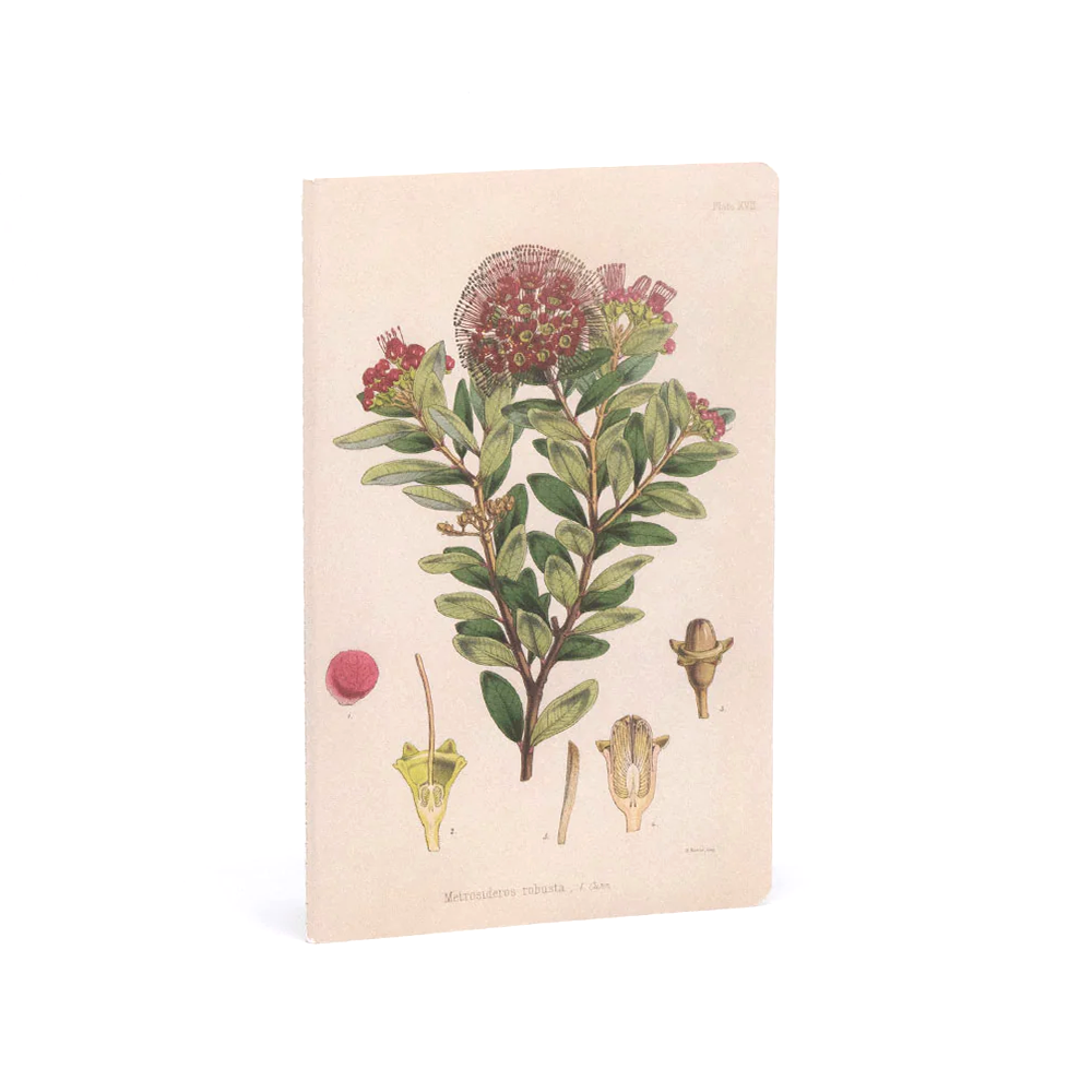 100% NZ Notebooks Set of 3 Botanical Illustrations