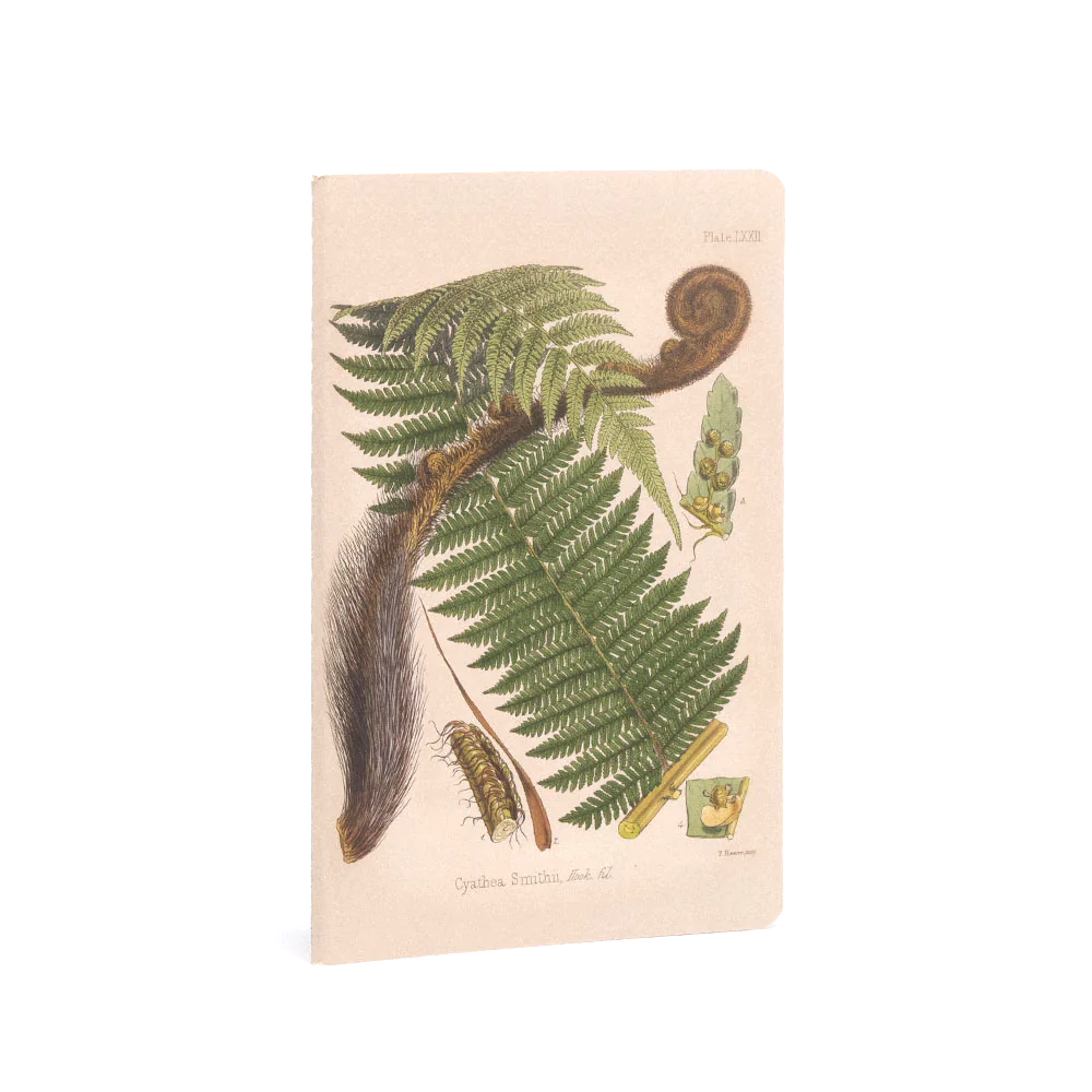 100% NZ Notebooks Set of 3 Botanical Illustrations