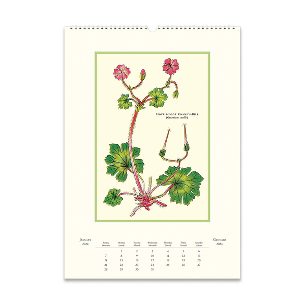 Cavallini 2024 Wall Calendar Wildflowers Iko Iko