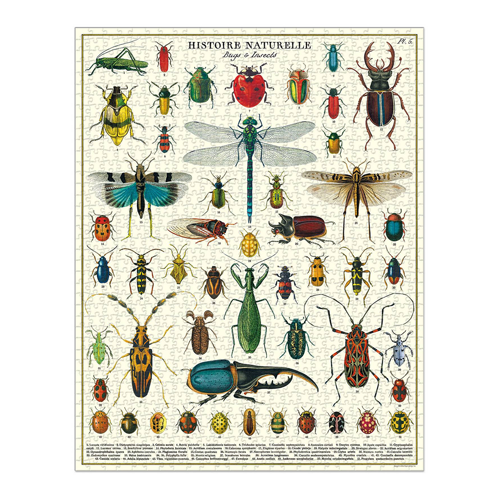 Cavallini 1000 Piece Puzzle Bugs and Insects