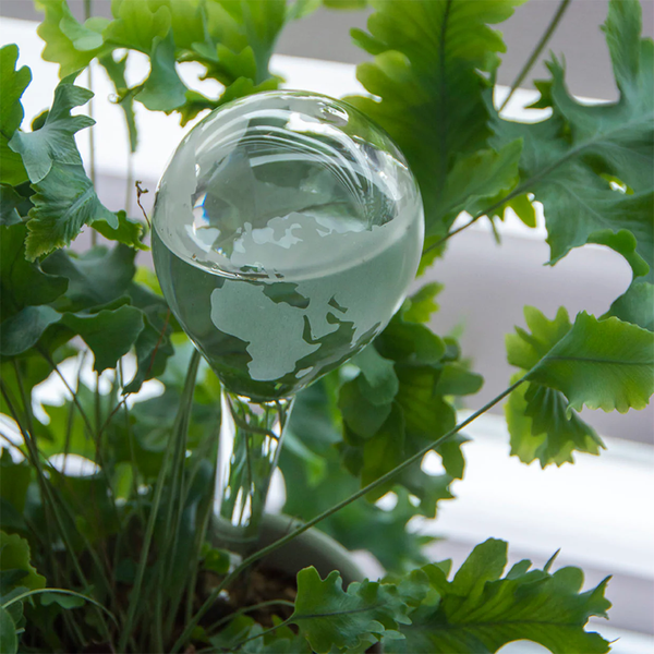 Glass Globe Plant Waterer