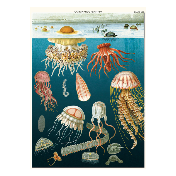 Cavallini Vintage Poster Jellyfish