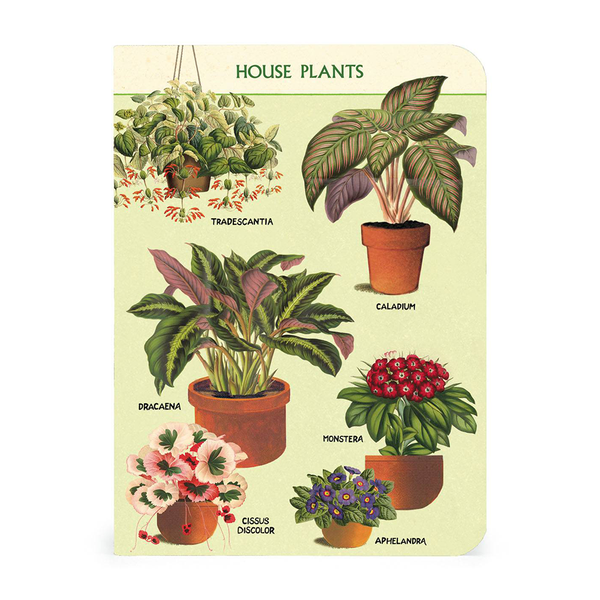 Cavallini Mini Notebook House Plants Blank