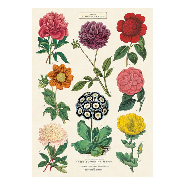 Cavallini Vintage Poster Botanica 2