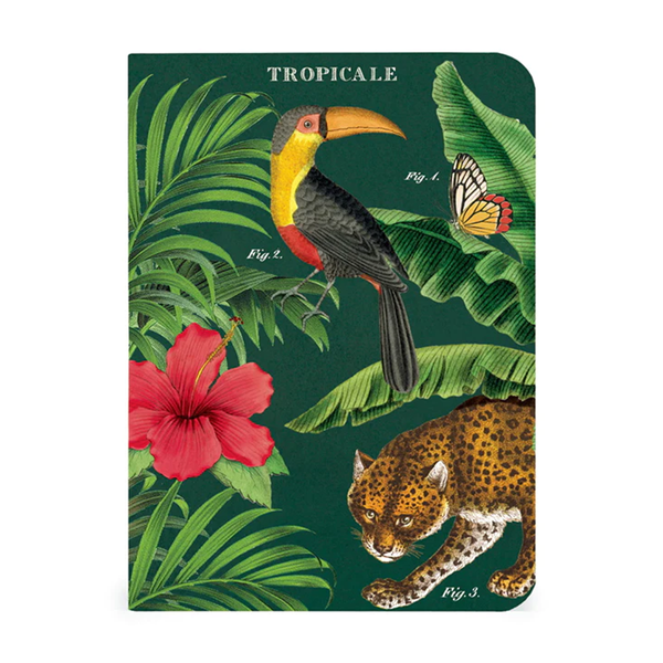 Cavallini Mini Notebook Tropicale Lined
