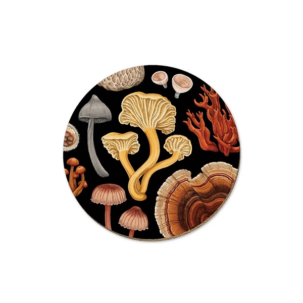 Wolfkamp & Stone NZ Fungi Bolete Coaster