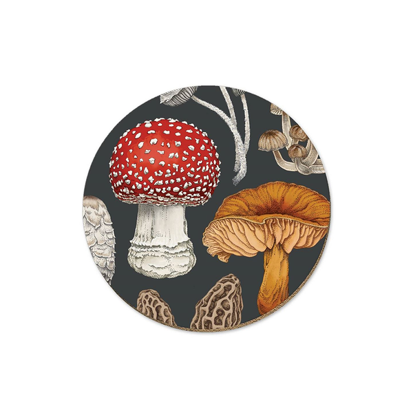 Wolfkamp & Stone NZ Fungi Morchella Coaster