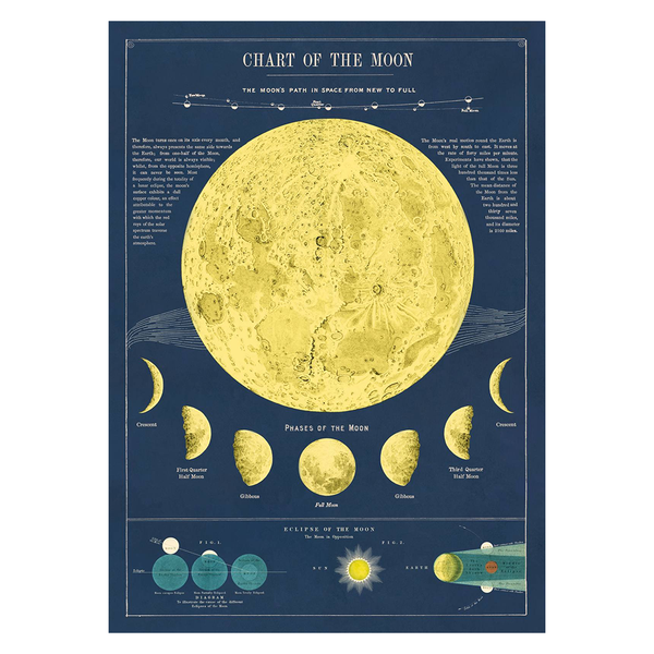 Cavallini Vintage Poster Moon Chart