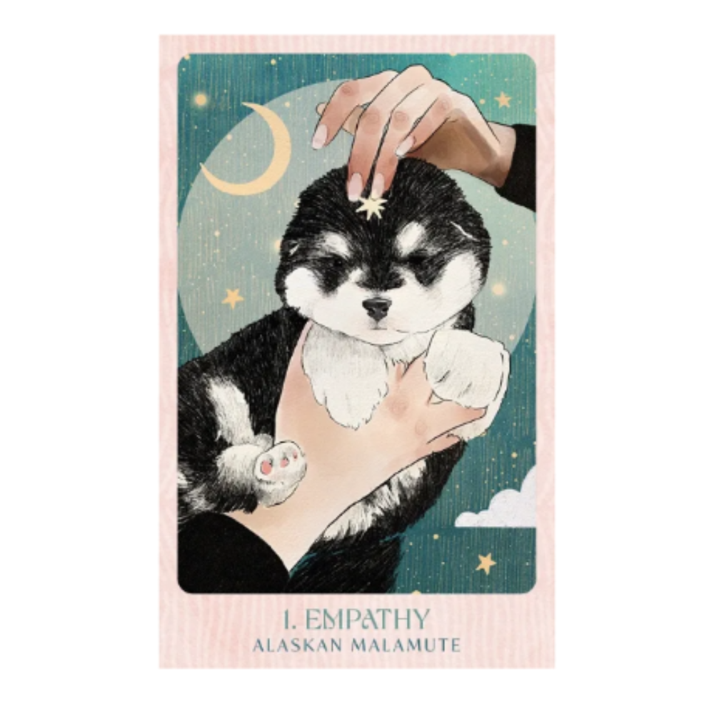 Ask the Canine Sages Oracle Cards Deck