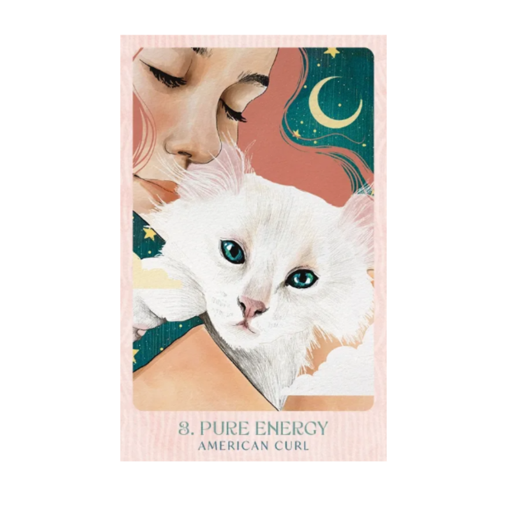 Ask the Feline Sages Oracle Cards Deck