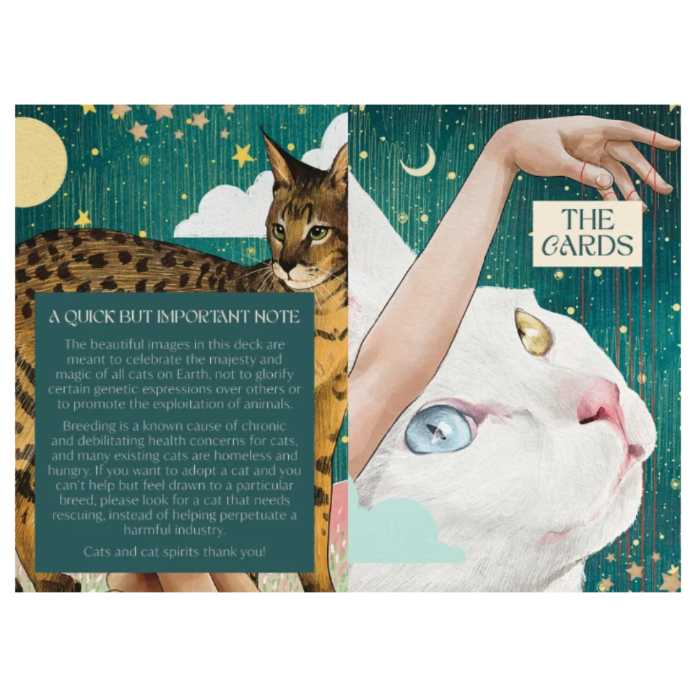 Ask the Feline Sages Oracle Cards Deck