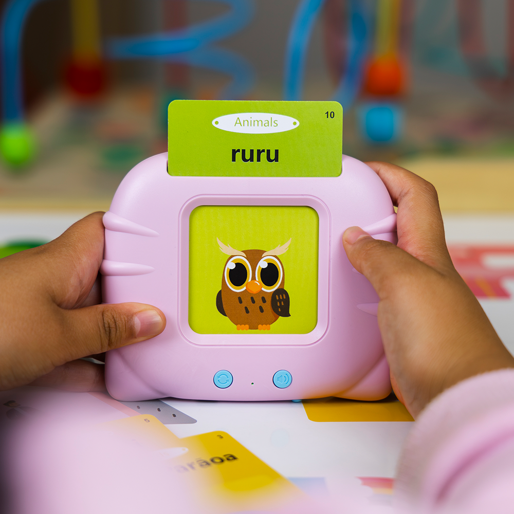 Māori Flash Card Reader and Cards USB Rechargable