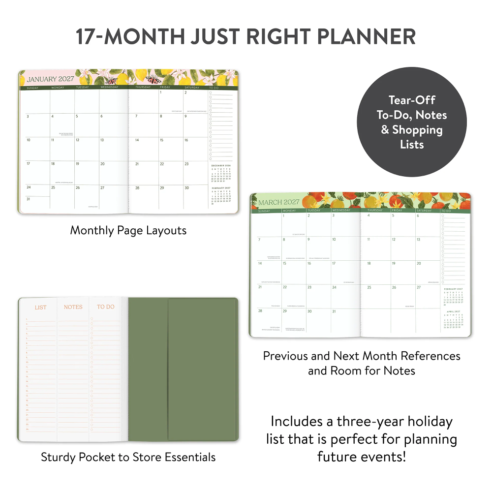 Orange Circle Studio 2027 Just Right Monthly Planner Fruit and Flora