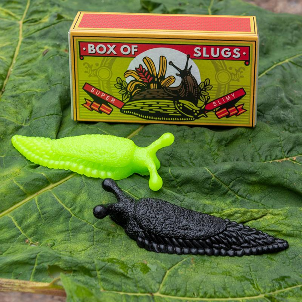 Rex London Box of Slimy Slugs