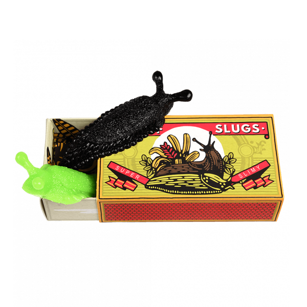 Rex London Box of Slimy Slugs