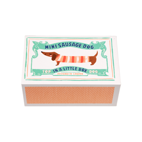Rex Mini Sausage Dog In A Little Box