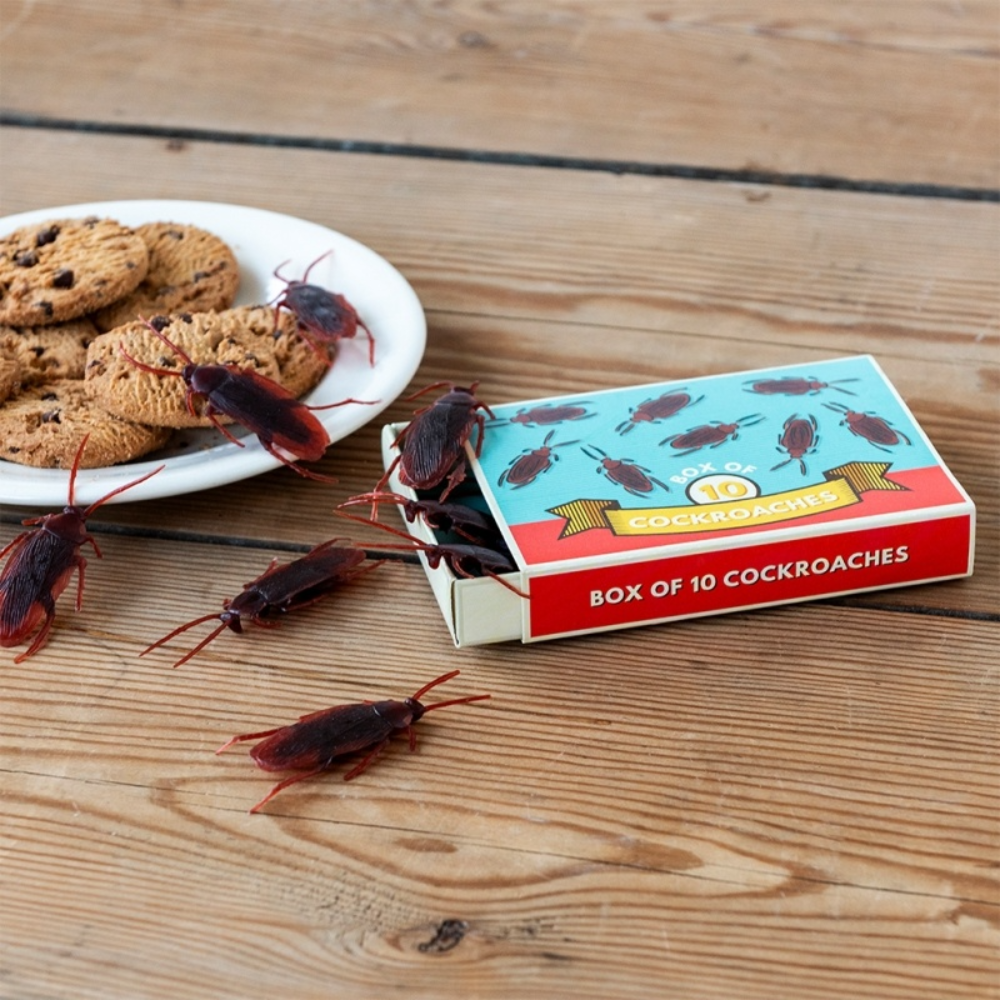 Rex London Box Of 10 Cockroaches