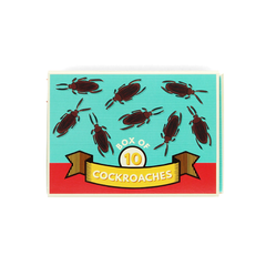 Rex London Box Of 10 Cockroaches