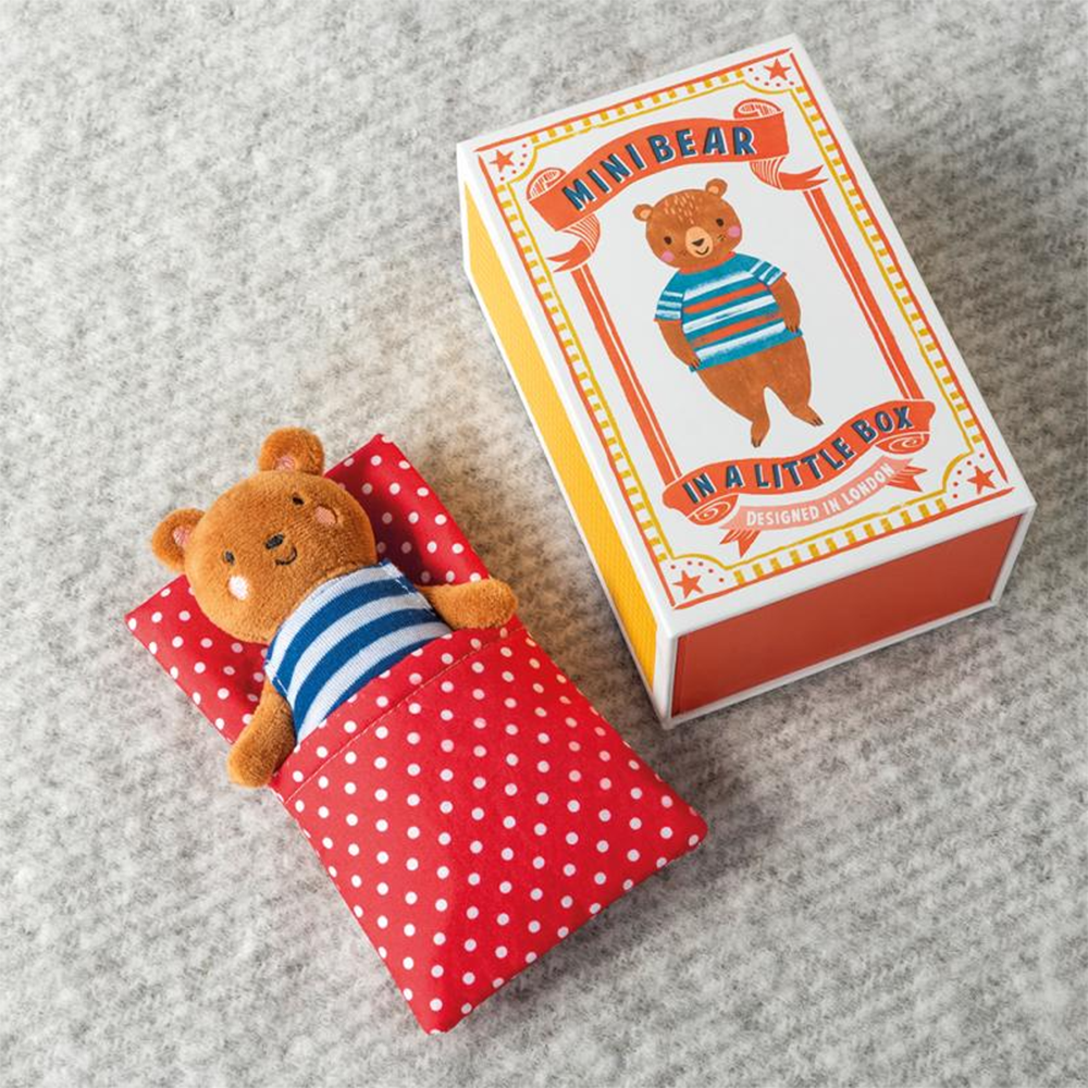 Rex Mini Bear In a Little Box