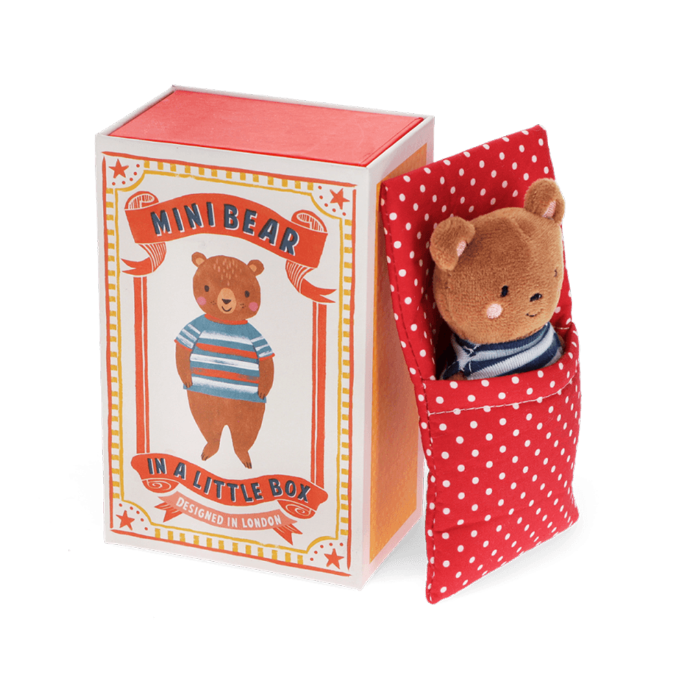 Rex Mini Bear In a Little Box