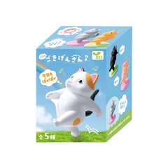 Feeling Good Today Too Cats Blind Box