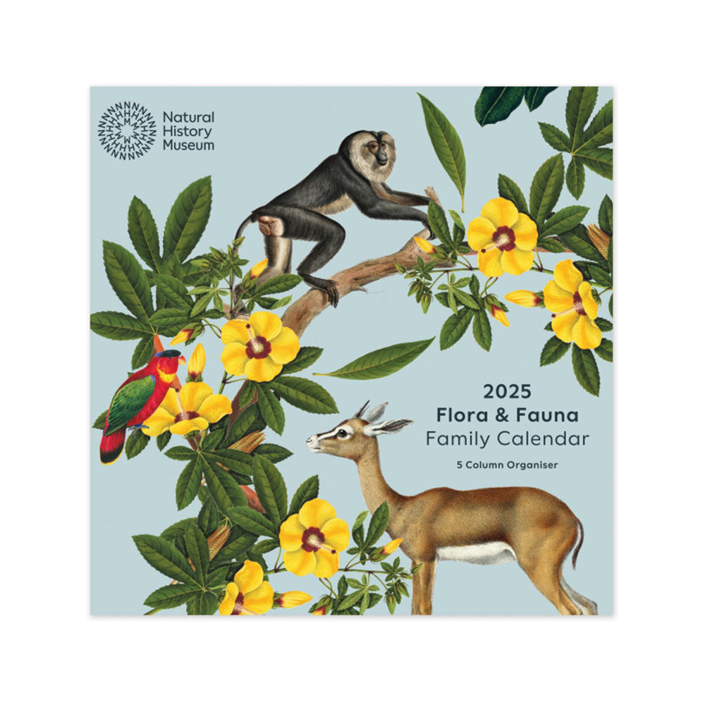 Portico 2025 Wall Calendar Natural History Museum Flora and Fauna