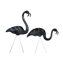 The Original Zombie Flamingos