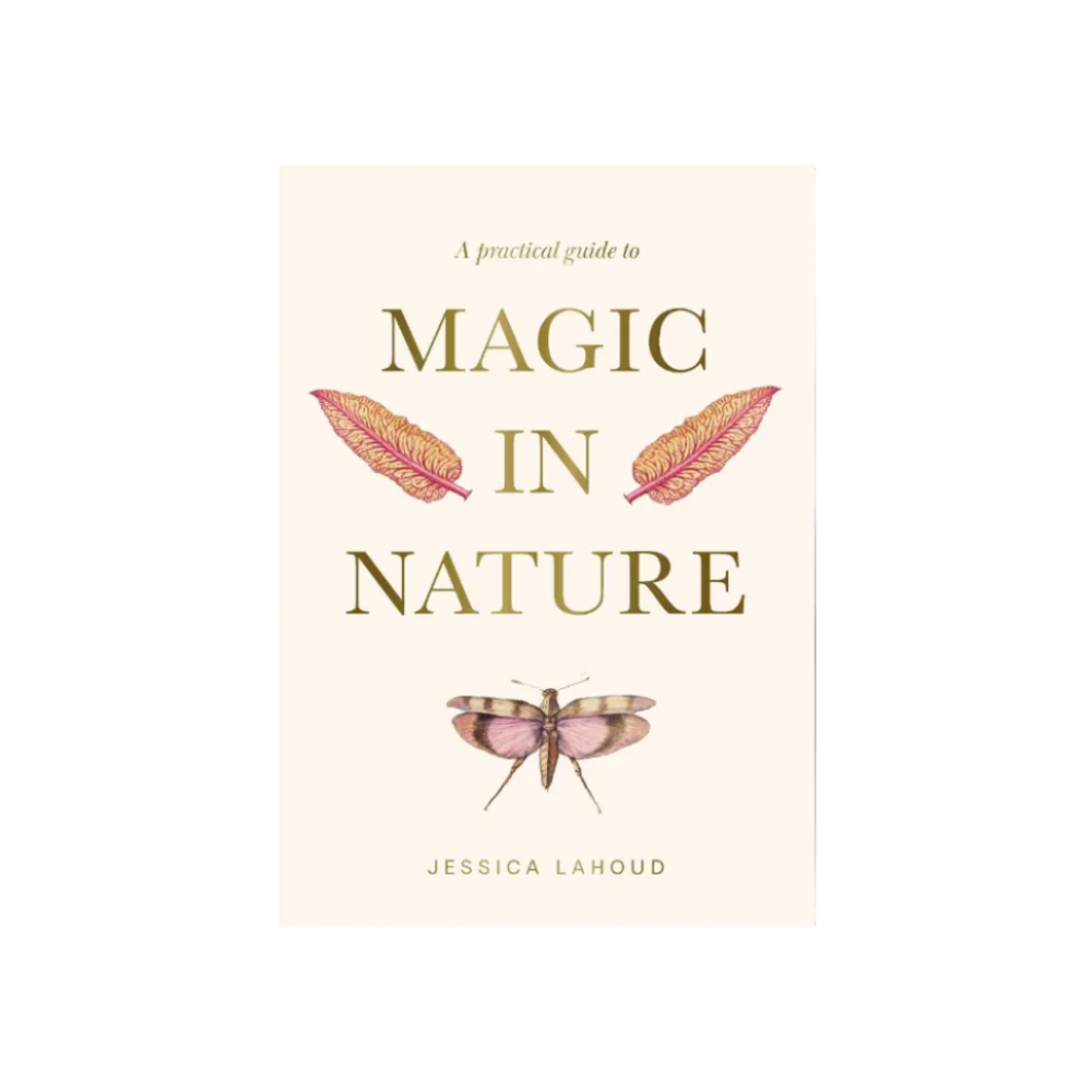 Book cover of 'A Practical Guide to Magic in Nature' with feathers and a dragonfly illustration on a white background.