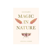 Book cover of 'A Practical Guide to Magic in Nature' with feathers and a dragonfly illustration on a white background.