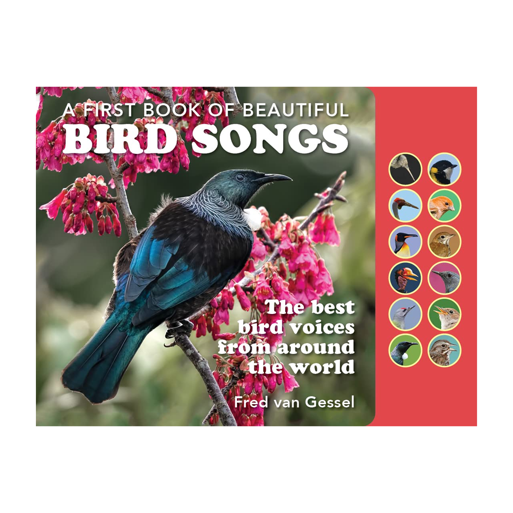 A First Book of Beautiful Bird Songs