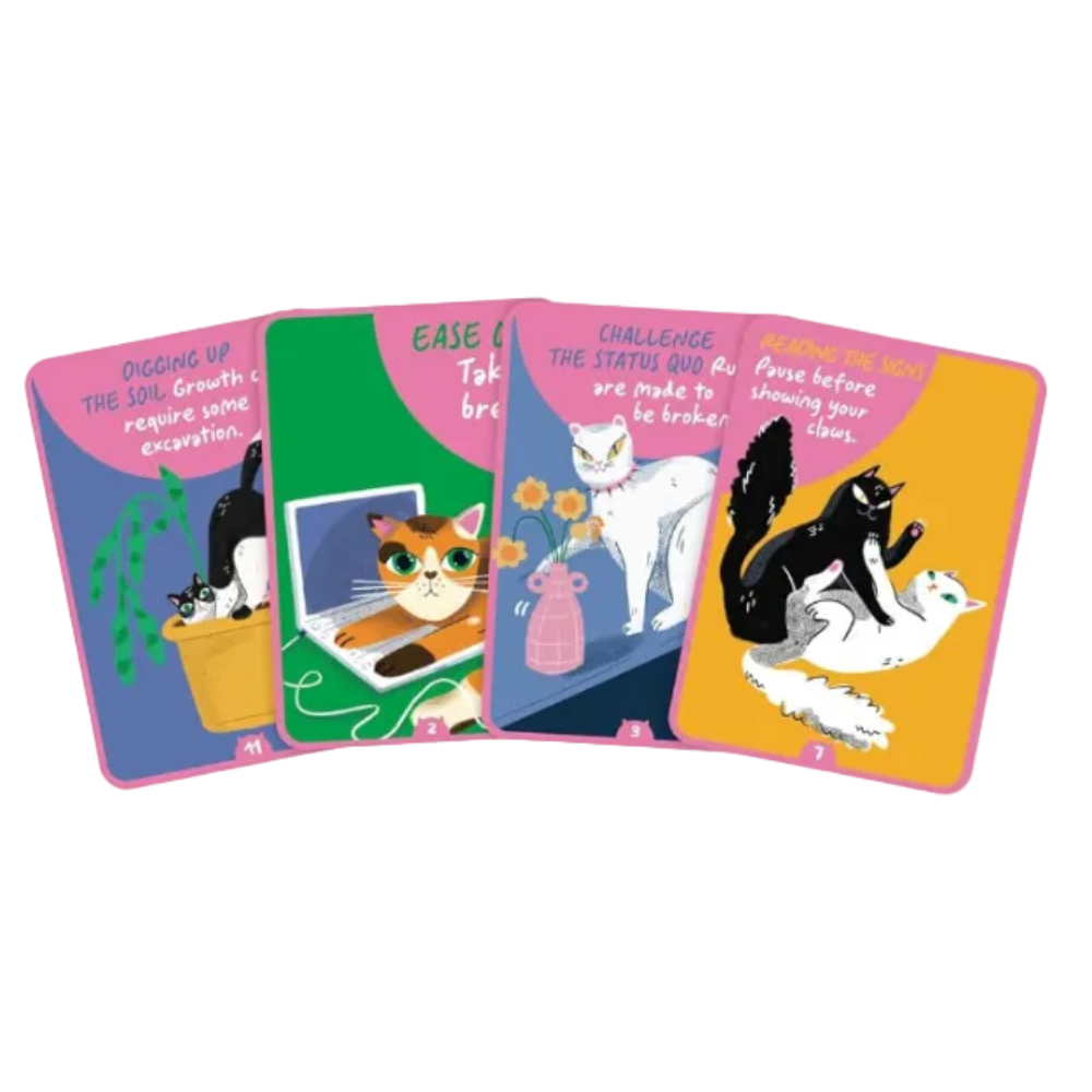 Cat Wisdom Oracle deck box and four illustrated oracle cards displayed on a white background. The box is blue with an orange cat illustration and the title 'Cat Wisdom Oracle.