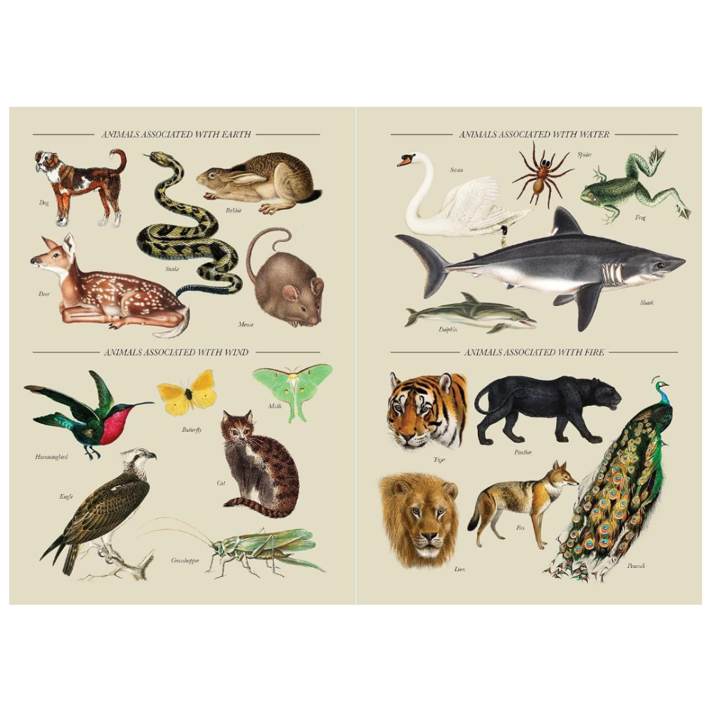 Illustrations of animals associated with Earth, Water, Wind, and Fire on a beige background.