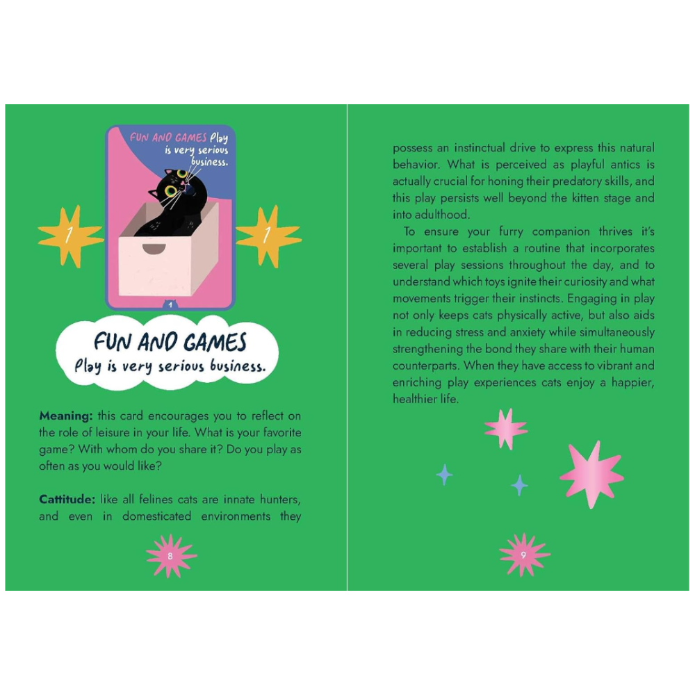 A green card or booklet page with playful text about feline behavior, a small illustration of a pink box with a black cat peeking out, and several pink starburst shapes on a green background.