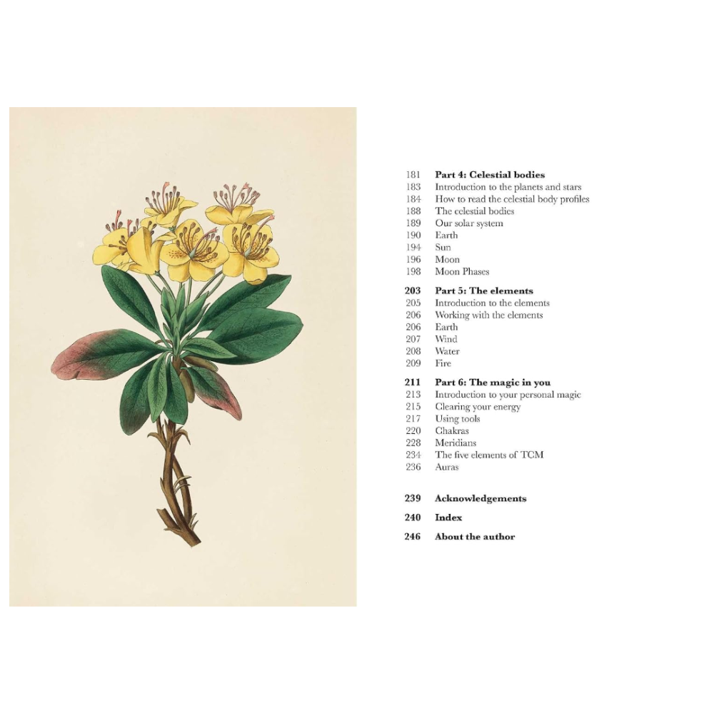 A printed book or booklet page with a vintage botanical illustration of yellow flowers and green leaves on the left, and a black printed table of contents on the right, all on a warm cream background.