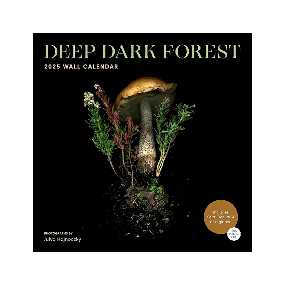 2025 Wall Calendar Deep Dark Forest