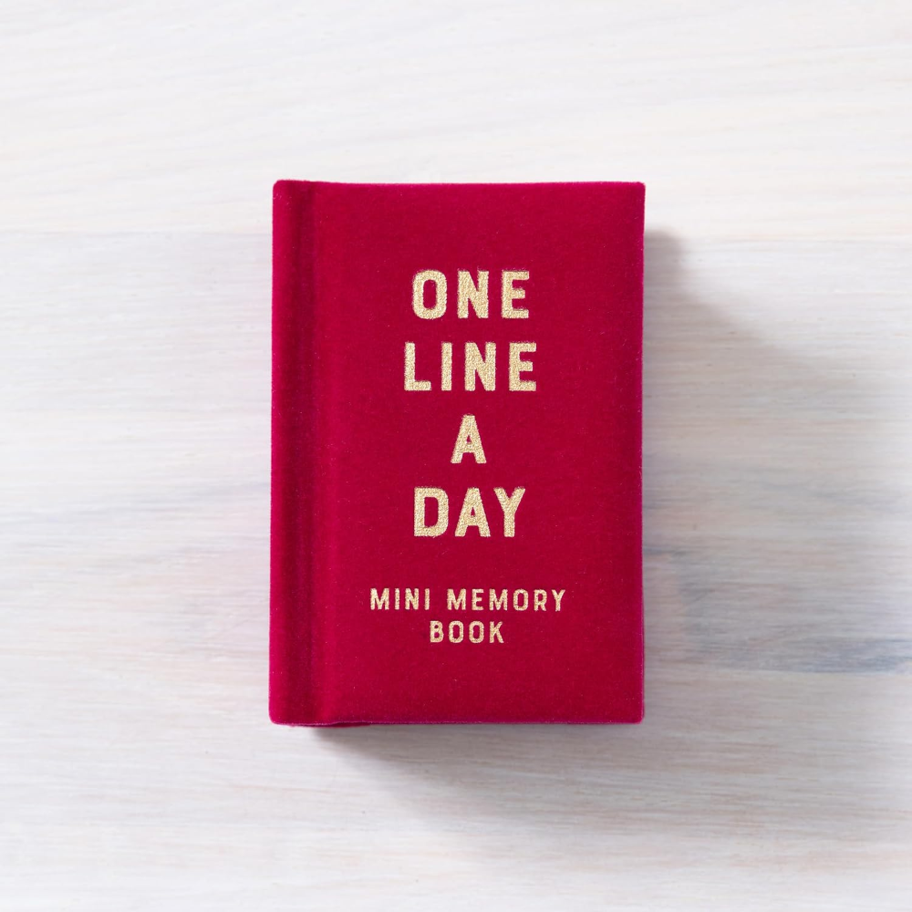 Mini One Line a Day Journal Rose Velvet