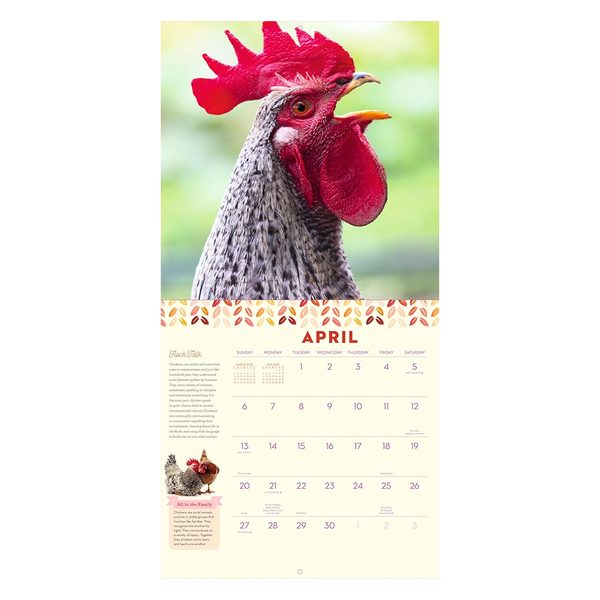 2025 Wall Calendar How to Speak Chicken