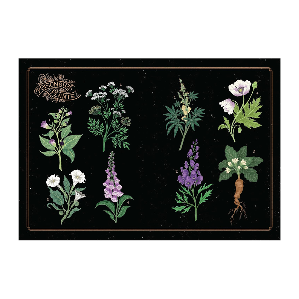 The League of Lady Poisoners