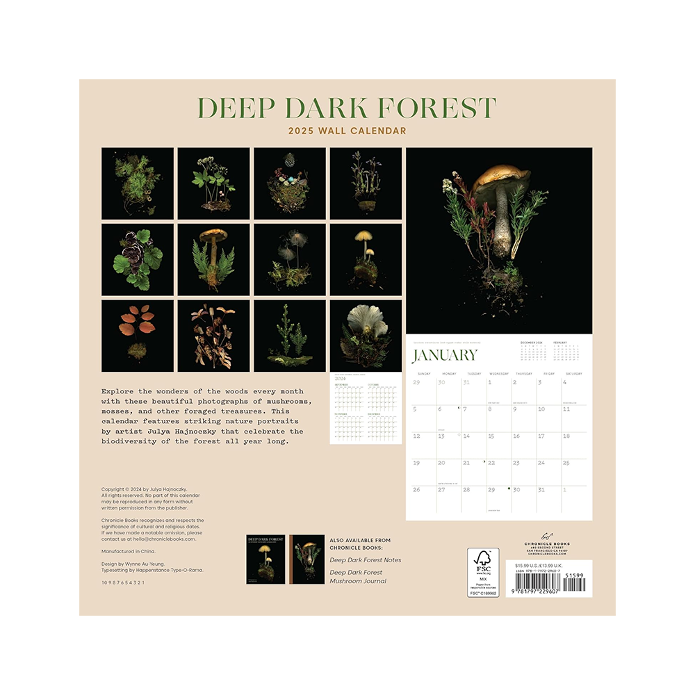 2025 Wall Calendar Deep Dark Forest