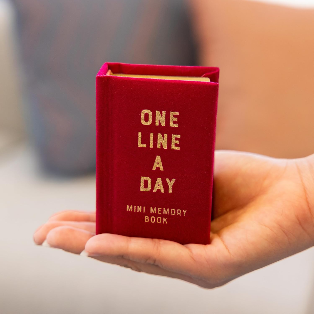 Mini One Line a Day Journal Rose Velvet