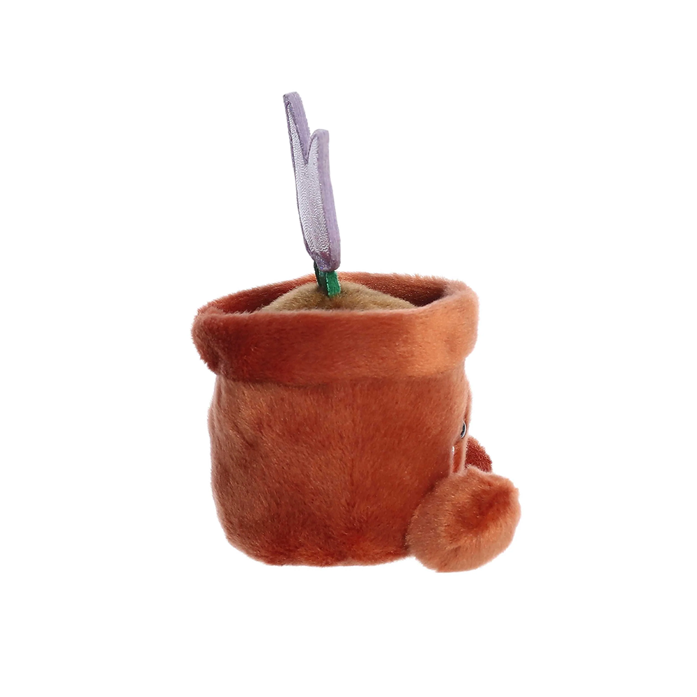 Palm Pals Holland Potted Tulip