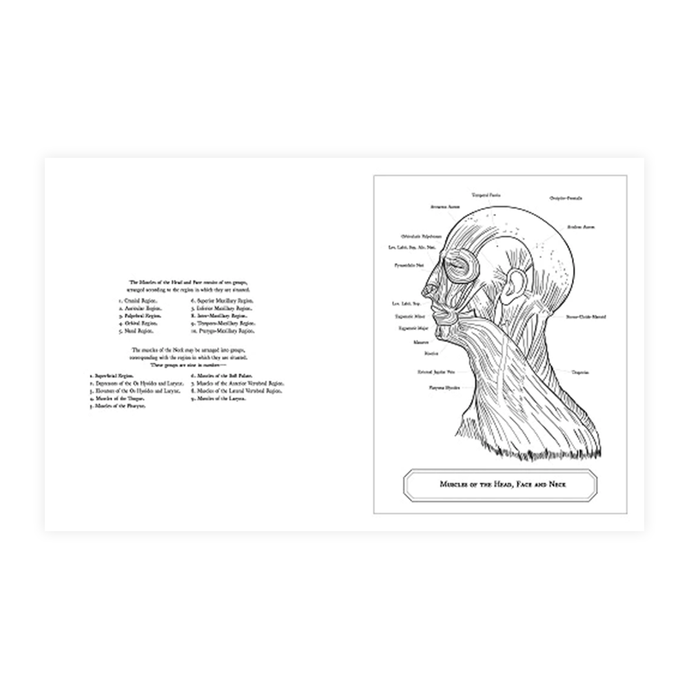 Grays Anatomy Colouring Book