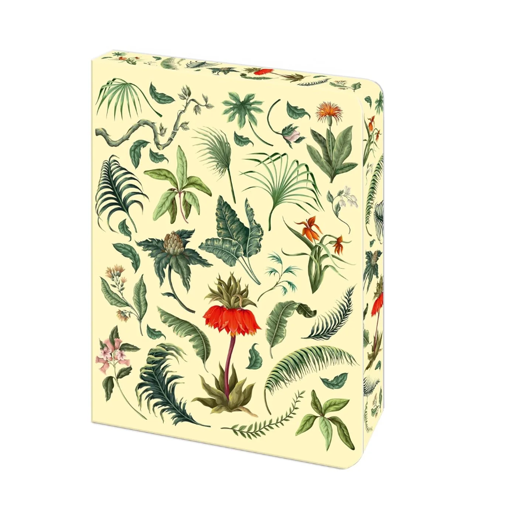 Cardboard box with a botanical pattern on a white background