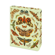Journal with butterfly design on a light green background