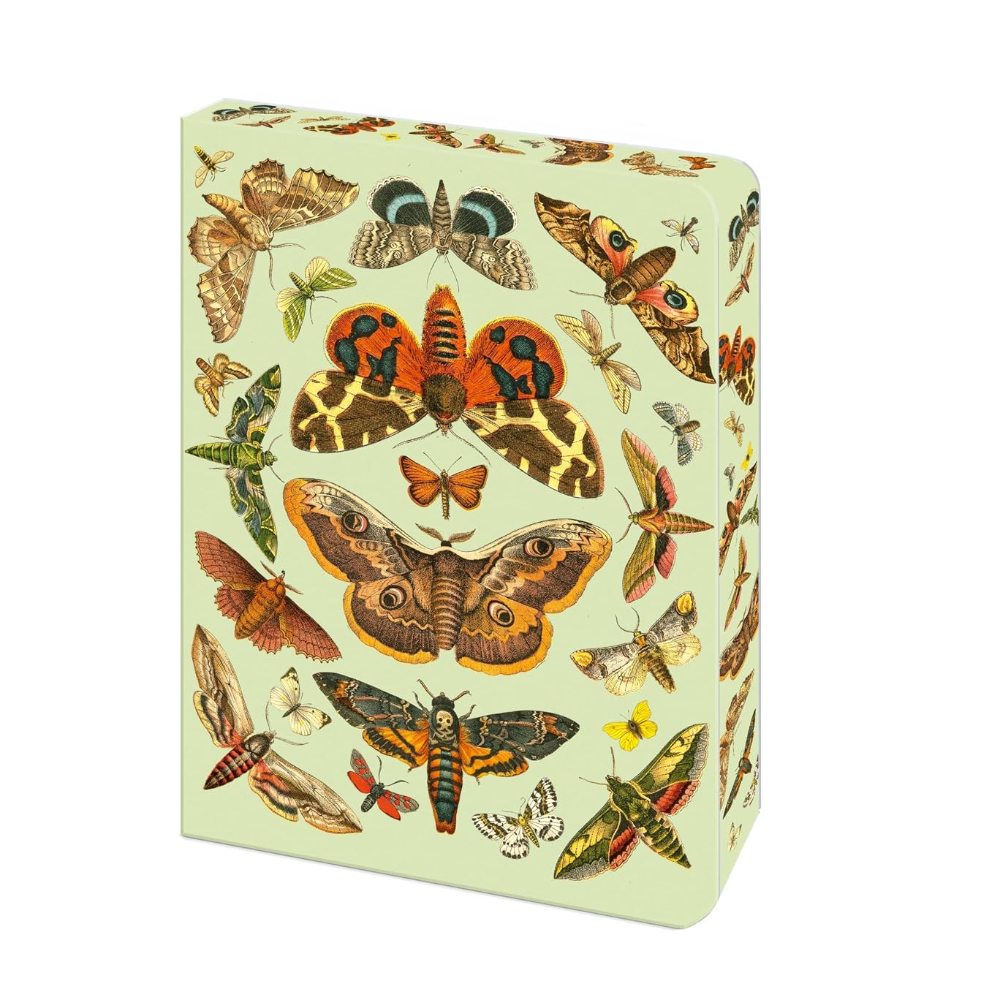 Journal with butterfly design on a light green background