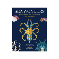 Sea Wonders The Octopus the Cuttlefish and the Squid