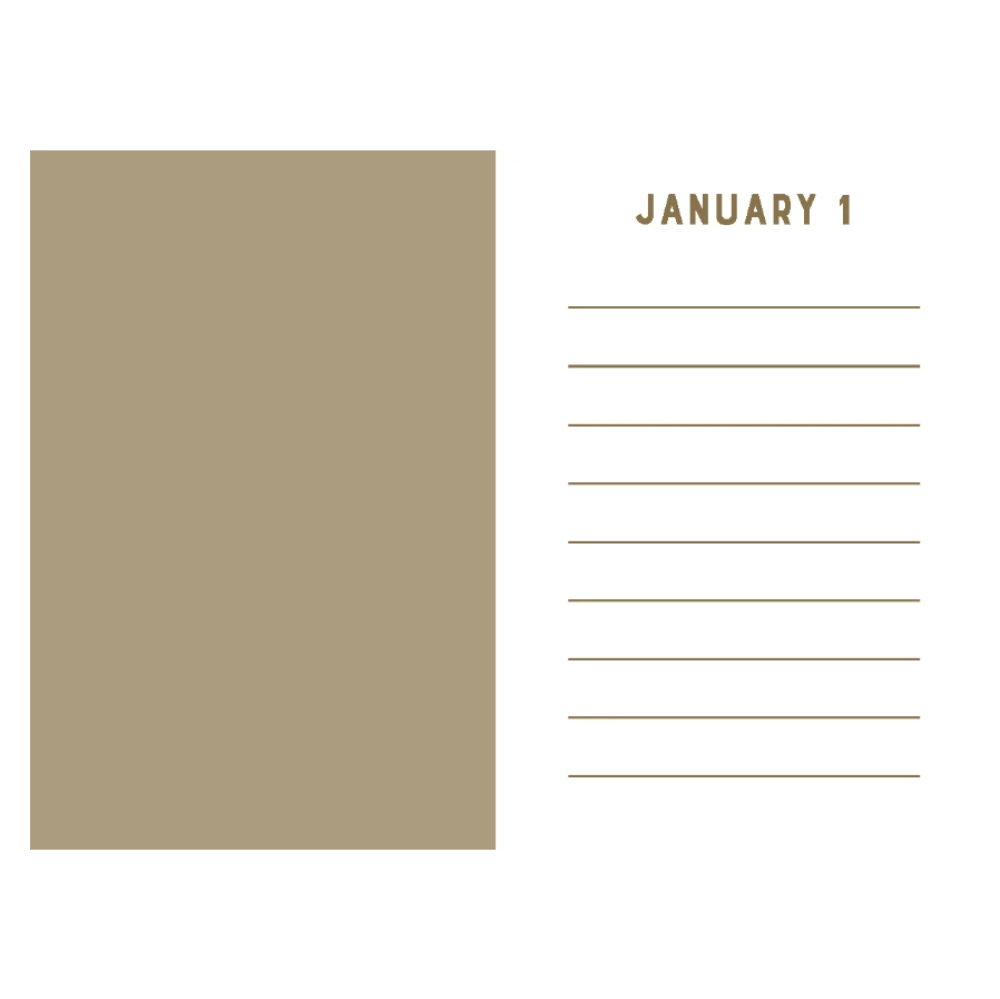 Mini One Line a Day Journal Rose Velvet