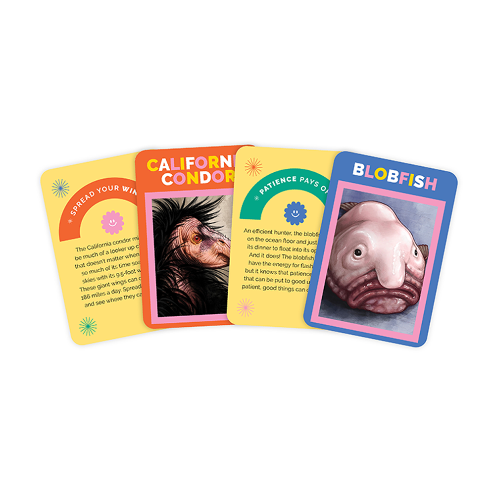 Not Just a Pretty Face