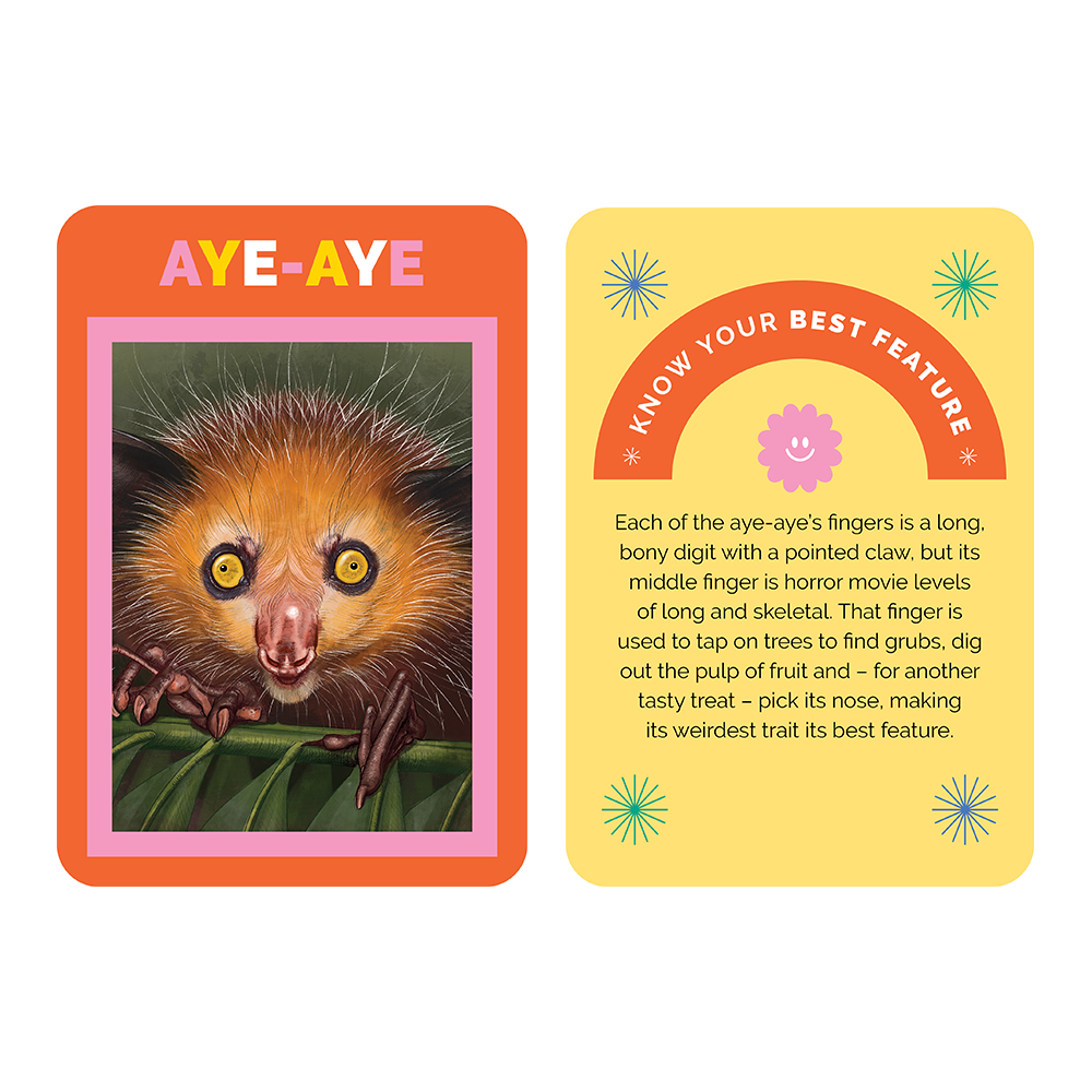 Not Just a Pretty Face